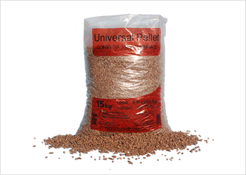 conifera_anteprima